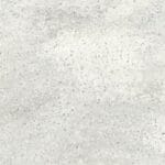 Arrowroot