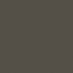 Gris Vison e1782997900884