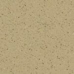 T 229 Ivy Star