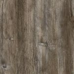 Dark Wood